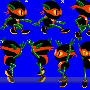 ANIM1